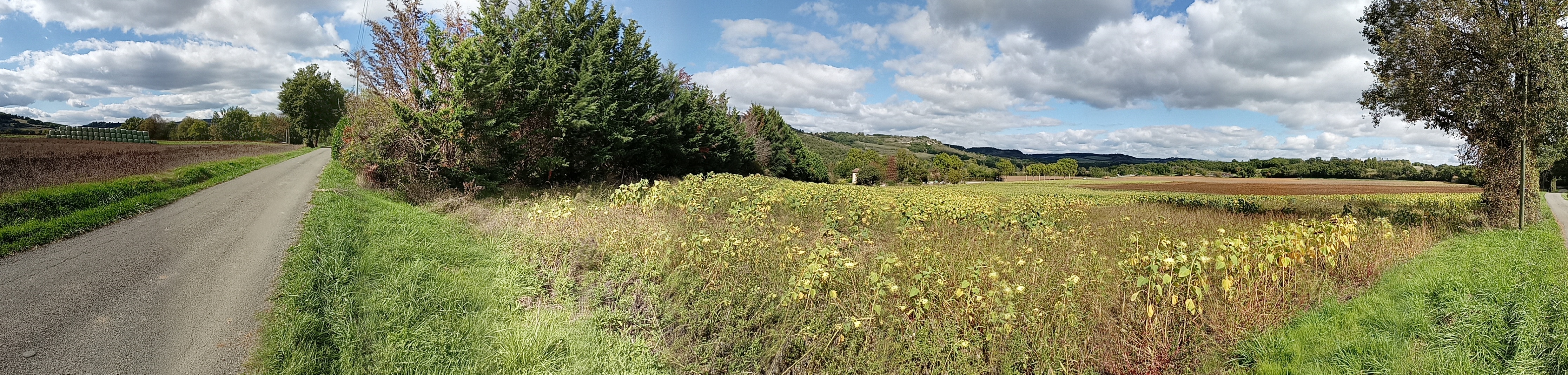 Panorama 2